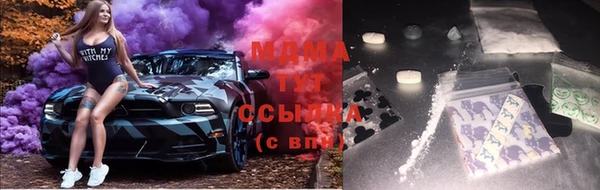 стаф Белокуриха