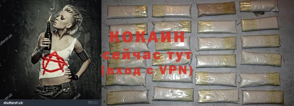 стаф Белокуриха