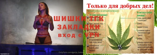 стаф Белокуриха