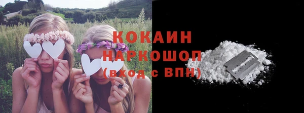 стаф Белокуриха