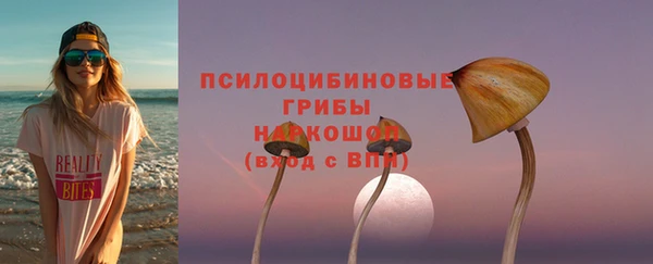 стаф Белокуриха