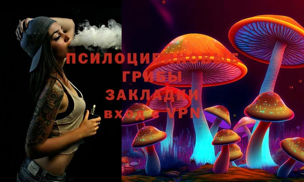 стаф Белокуриха