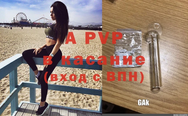 стаф Белокуриха