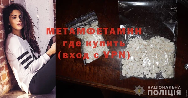 шишки Беломорск