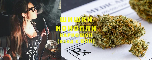 шишки Беломорск