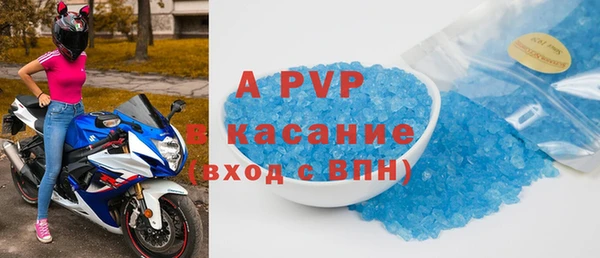 шишки Беломорск