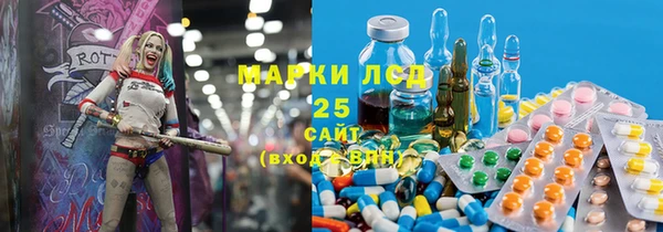 шишки Беломорск